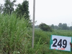 128880249c-rainfed-irrigated-groundwater-cotton-dominant-sugarcane-gram.gif