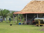 32114IMG_5541.JPG