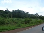 20187P1020039.JPG