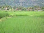 16379IMG_5163.JPG