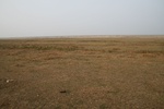 4524IMG_8824.JPG