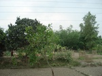 21893DSC08488.JPG