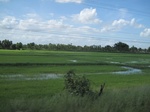 33265IMG_5595.JPG