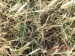 29351CIMG0570.JPG