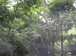 14723IMG_5108.JPG