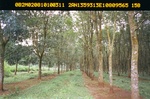 40495Anh4421.JPG