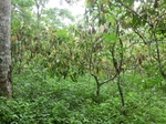 47832CIMG4169.JPG