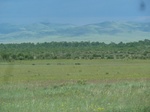 38143P1080068.JPG