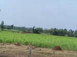 1691502052008(75).JPG