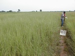 12226GT049_grass_valley_bottom_2.JPG