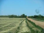 28971CIMG0669.JPG