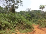 49009CIMG5346.JPG