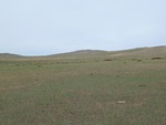 23133P1020651.JPG