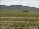37929CIMG1736.JPG