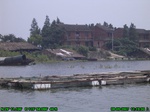 1644R0015271_tag.jpg