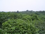 824R0015379_small.jpg