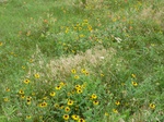21540P1010364.JPG