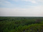 54301DSCN1574.JPG