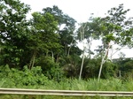 20101P1010952.JPG