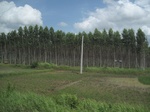 33340IMG_5678.JPG