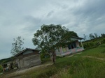 55008Berau (307).JPG