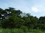 25562P1010975.JPG
