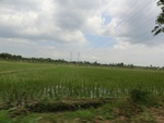 31581CIMG1447.JPG