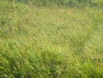 54296DSCN1569.JPG