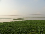 24534DSC00731.JPG
