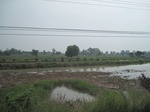 34484IMG_5467.JPG
