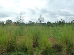 20523P1020380.JPG