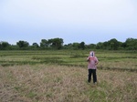 1171004-croplant-ricea.jpg
