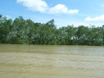 54621Bulungan (119).JPG