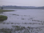 817R0015377.jpg