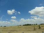 35482DSC02997.JPG