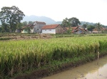 15349IMG_4190.JPG