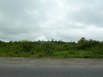 18305P1000141.JPG