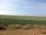 56115CIMG6816.JPG