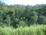 33598RIMG0263.JPG