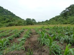 18355P1000191.JPG