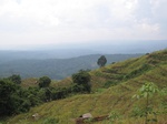 15859IMG_4401.JPG