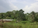 49798CIMG6135.JPG