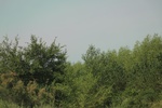 2024-08-05_14-43-41_A37DED52-43CD-4364-B649-8E37EE2AF5C8.jpeg