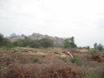 28115IMG_4923.JPG
