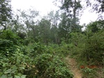 53005CIMG4095_调整大小.JPG