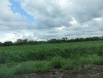 24822DSC00991.JPG