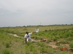 13224033c-irrigated-supplemental-tank-rice-singlecrop.gif