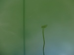 58448CIMG2897.JPG