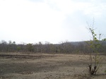 1692002052008(8).JPG