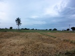 55900CIMG6623.JPG